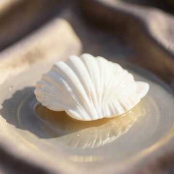 image for What I Miss (Myel) (28)