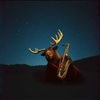 MooseCore Jazz