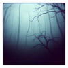 [Trip-hop?] It's me, Prune Juice