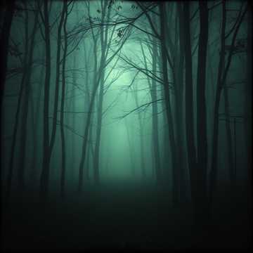 Falling for the pain