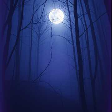 In The Dark (DnB Mix)