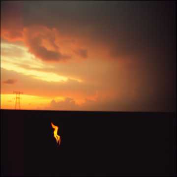 United in Diversity II