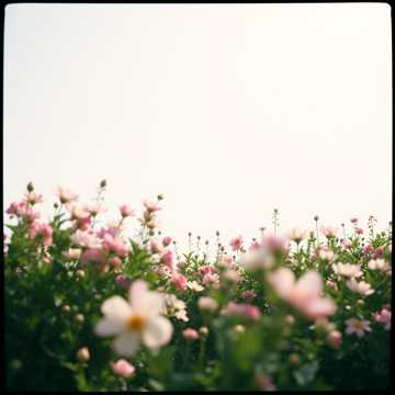 Mijn Liefde Voor Jouw is Geen Gevangenis