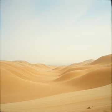 Image for Silent Echoes of Rock