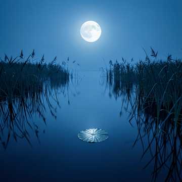 image for Still Waters (4)