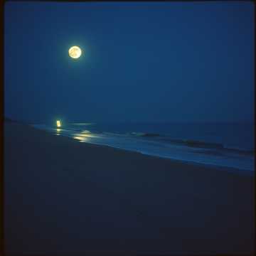 image for Noise To Quiet (3)