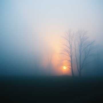 Image for Gebet