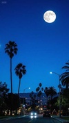 LA Moonlight v2