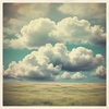 Under the Same Sky