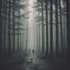 Cover image for Shadows in the Dark