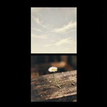 风从远方来 · Saanson Mein Saja · 作品封面