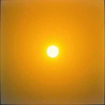 In the Shadow of His Light