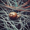 Connexion de Flavius