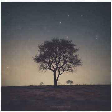 Playlist cover art