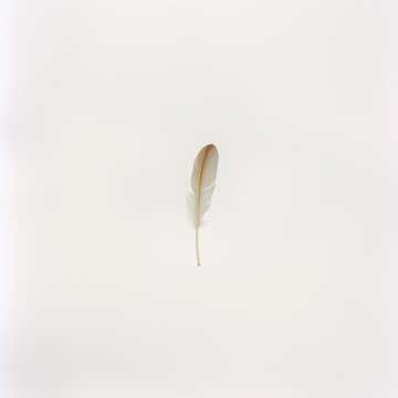 She Deserves to Be Free