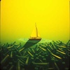 Cover image for Like SunnyD in the Sunlight