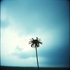 Cover image for I miss you