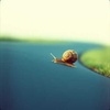 Gary the Snail (2.2 Chapter Edit)