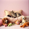 Paws Off My Pillow