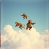 Flying Monkeys