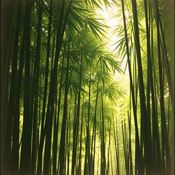 image for To the Core (8)