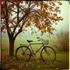 Fall // Bike Ride 