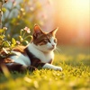 Patches and Whiskers