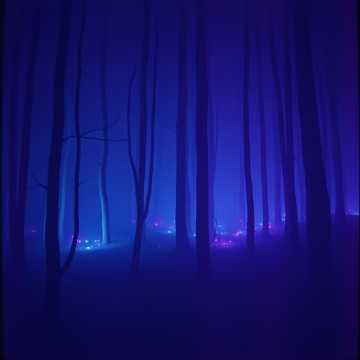 Dark Nymph Evolution