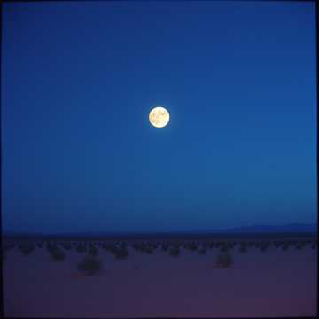 เธอไม่รัก...ฉันก็เจ็บ