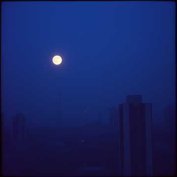 LATE NIGHT VIBE [LO-FI HIP HOP]