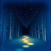 Walk the Narrow Way