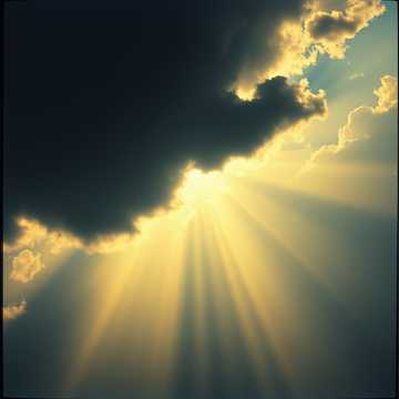 Fuck Your Love and Apologies