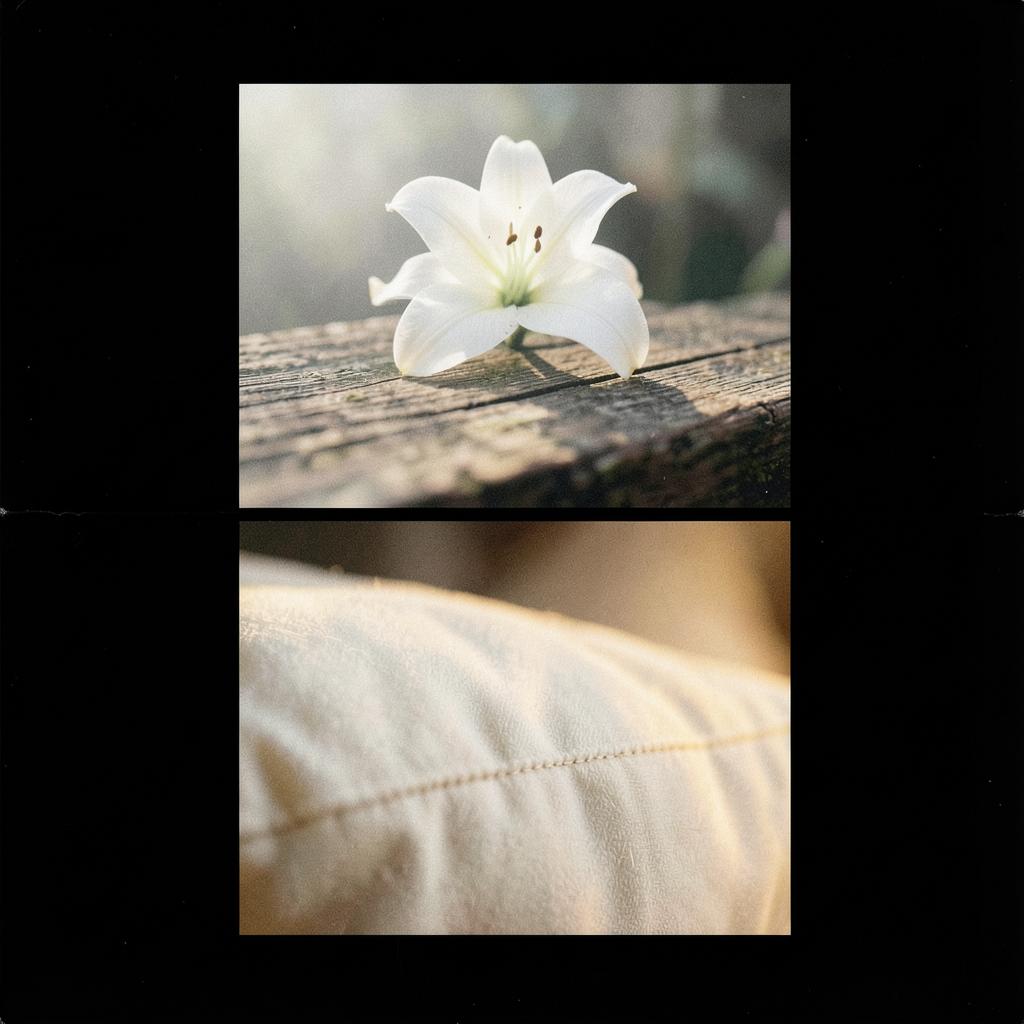 Lullaby artwork