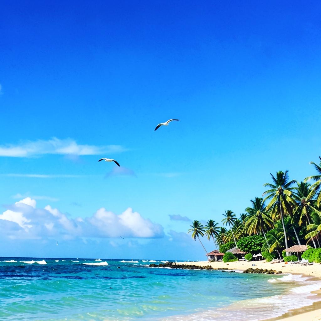 The Blue Sky of the Caribbean / カリブの青い空 artwork