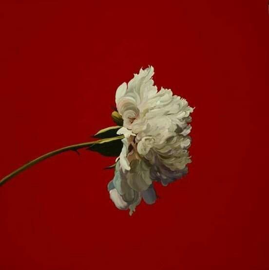 Iris artwork