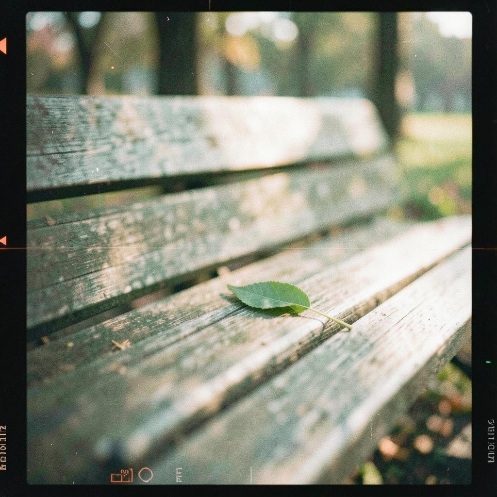 Song Cover Image