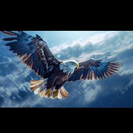 Image for BEST SONGS