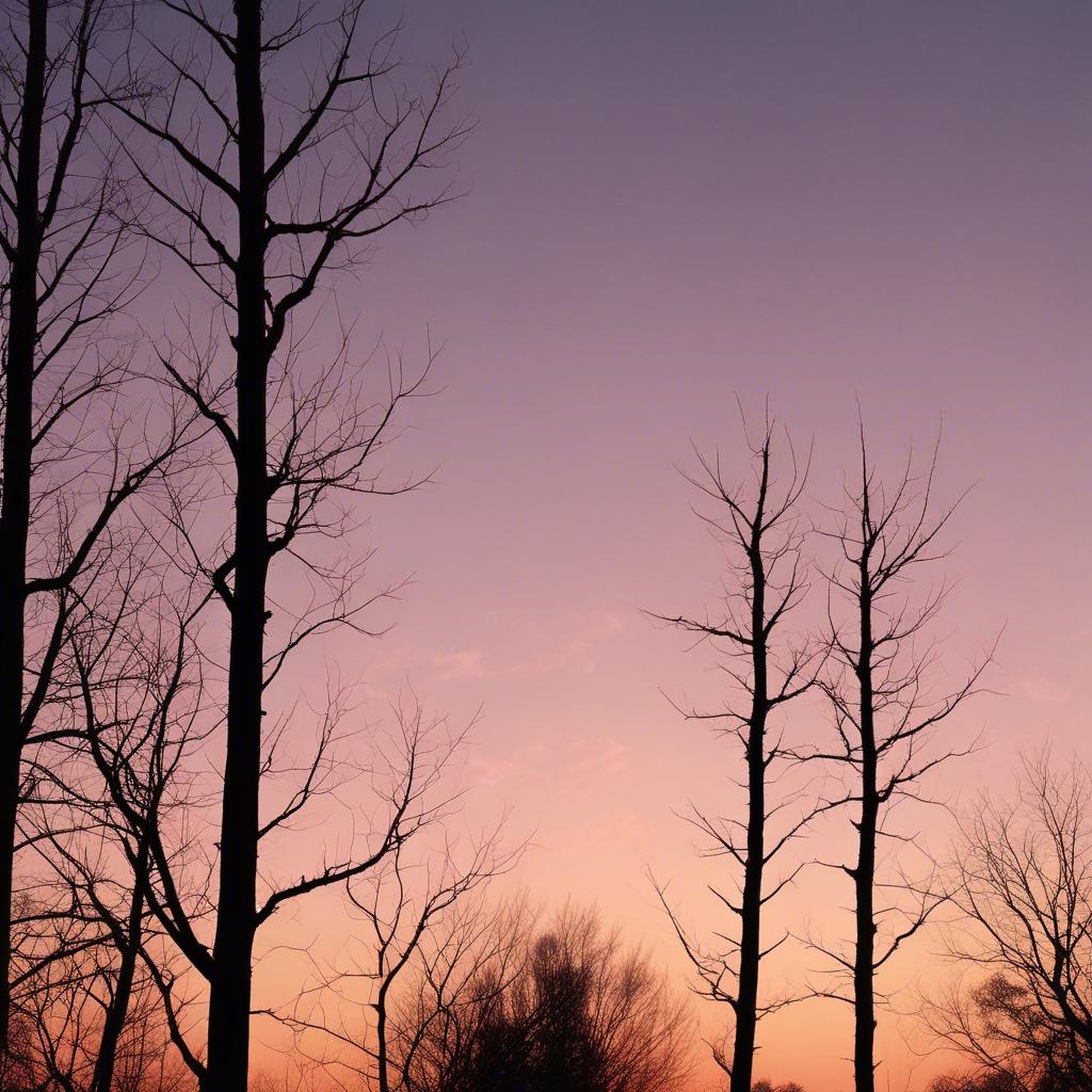 Image for cover ballada