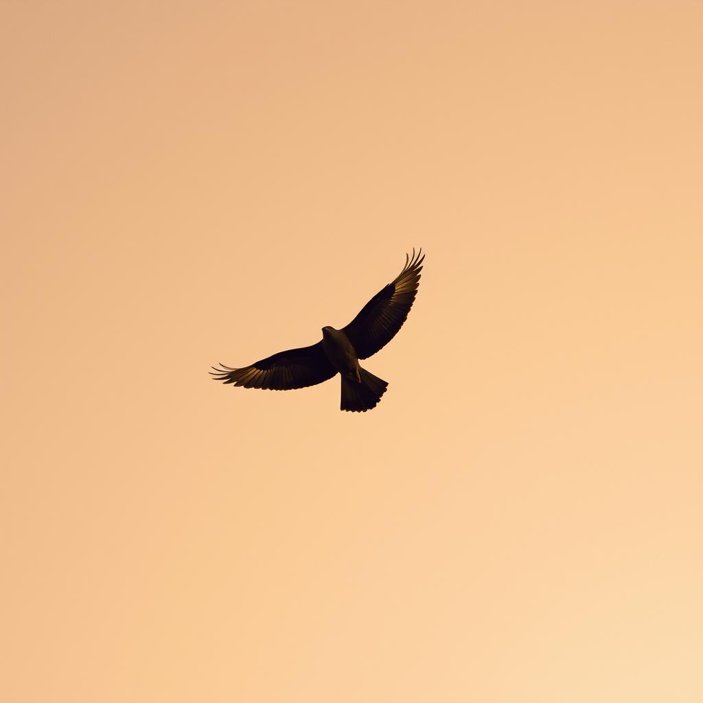 Wings of Rust (Cover) artwork