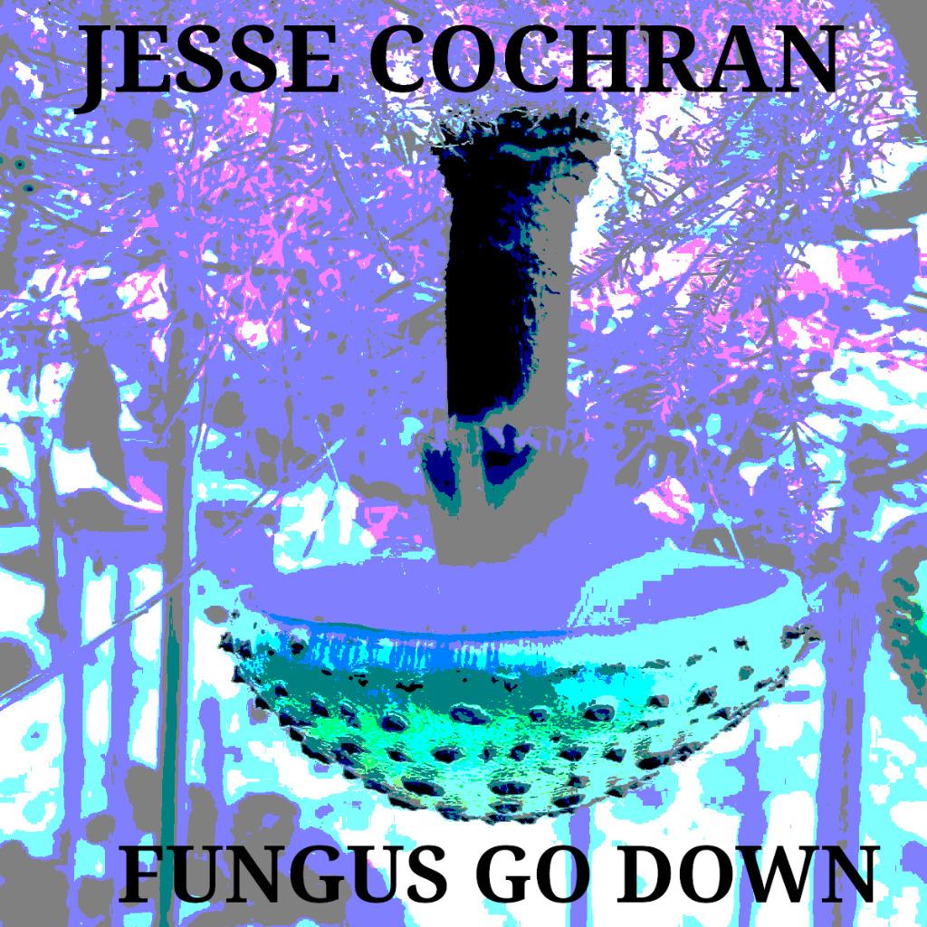 Fungus Go Down