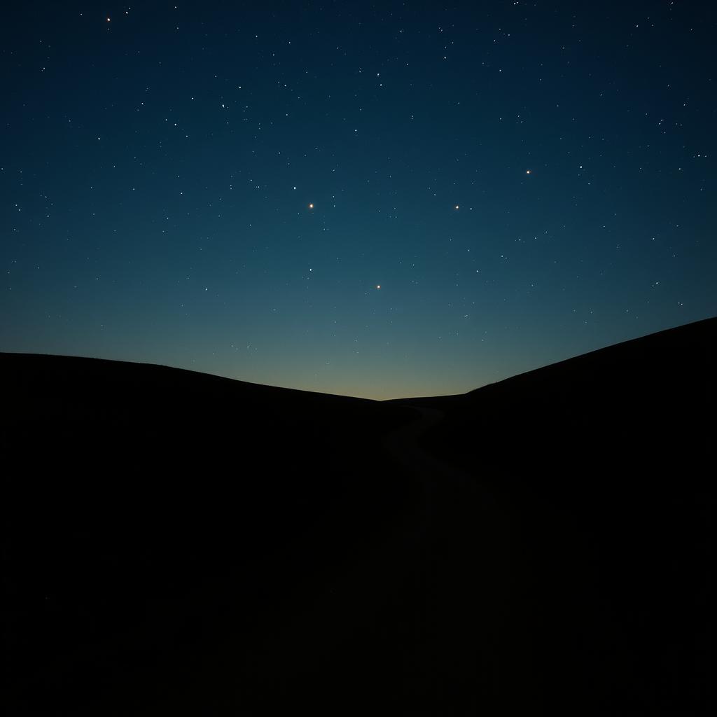 The Path Led by Stars artwork