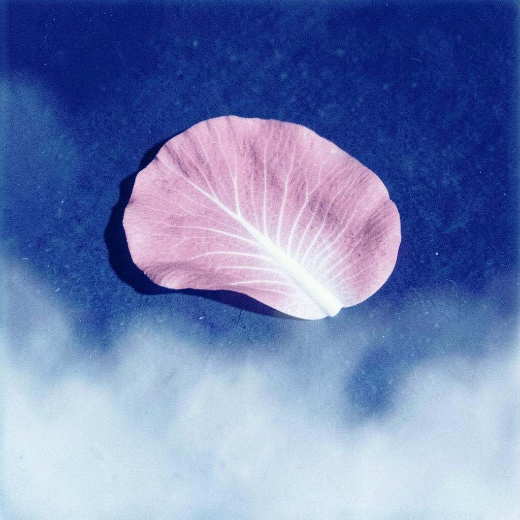 एक मारी शिट्टी artwork