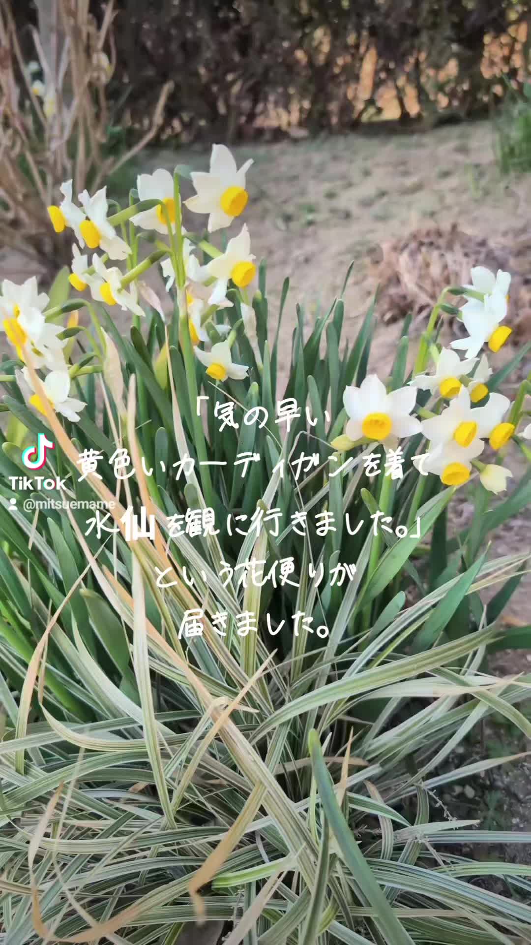 希望の花冠 #Flowers artwork
