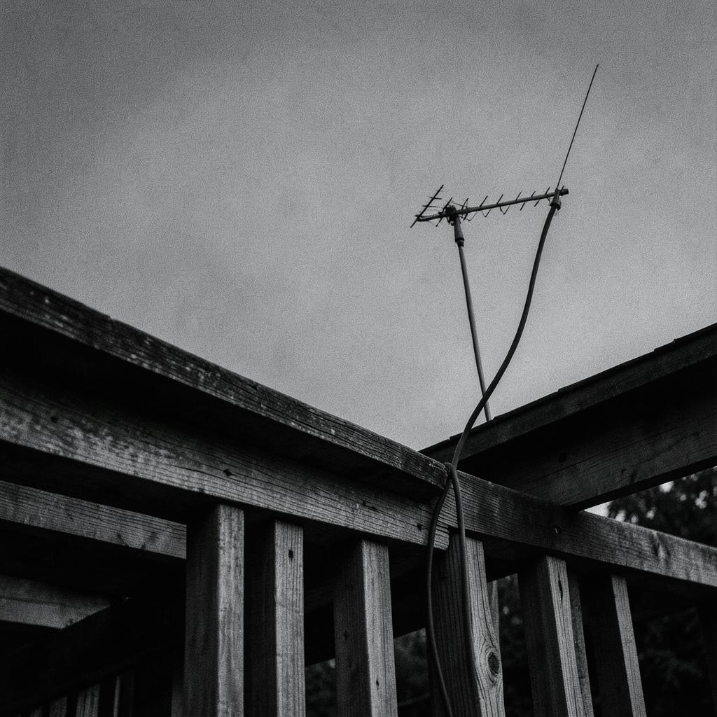 Send a Signal- Live Springfield Stadium '26 006 artwork