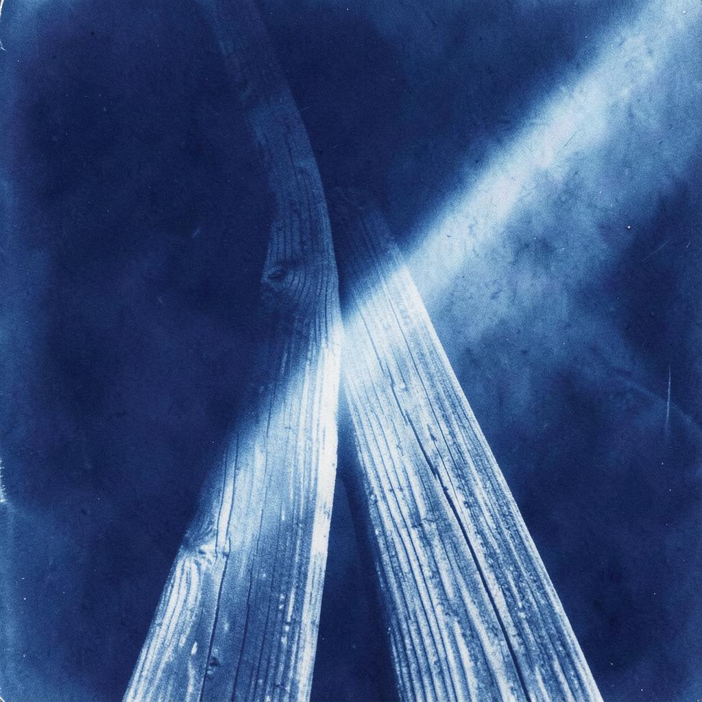 Against the World artwork