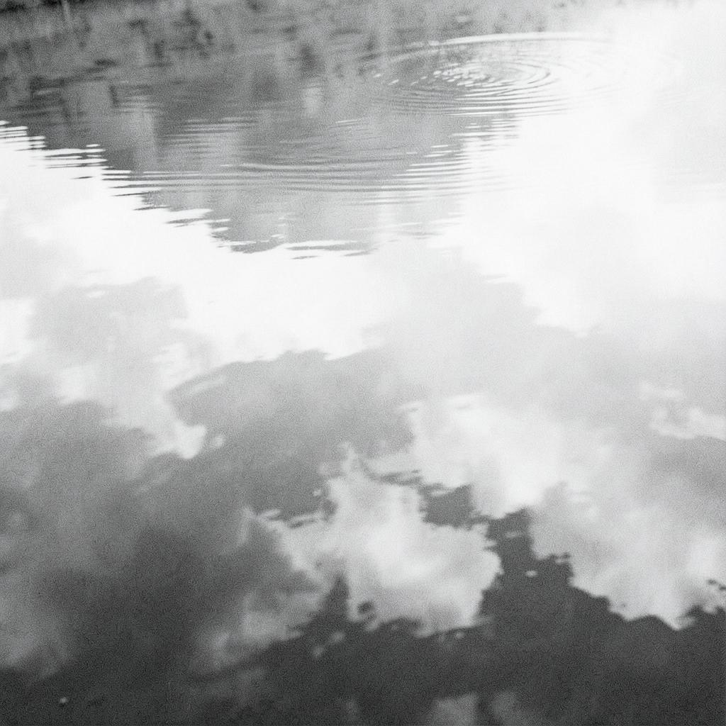 Weightless Serenity artwork
