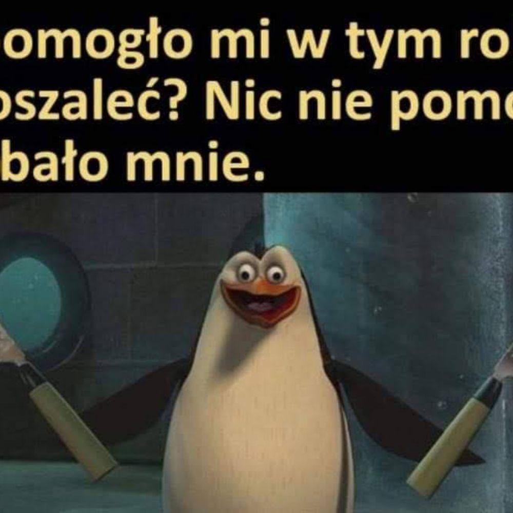 Penguin Songs