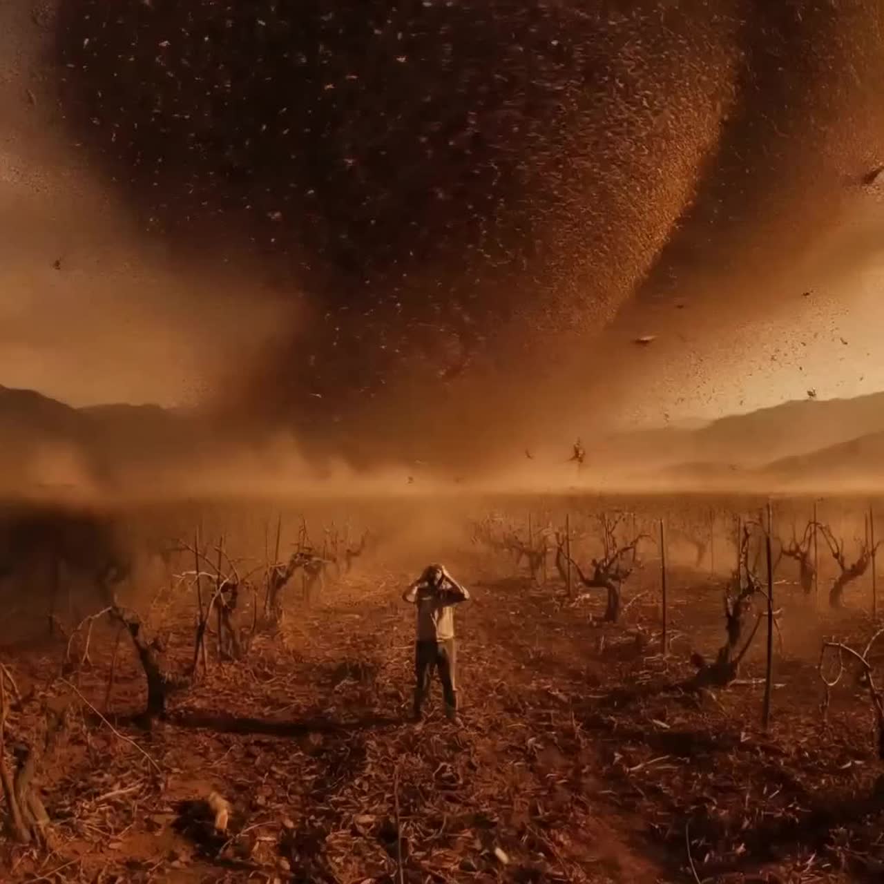 The Years of the Locust (Remastered x2) artwork