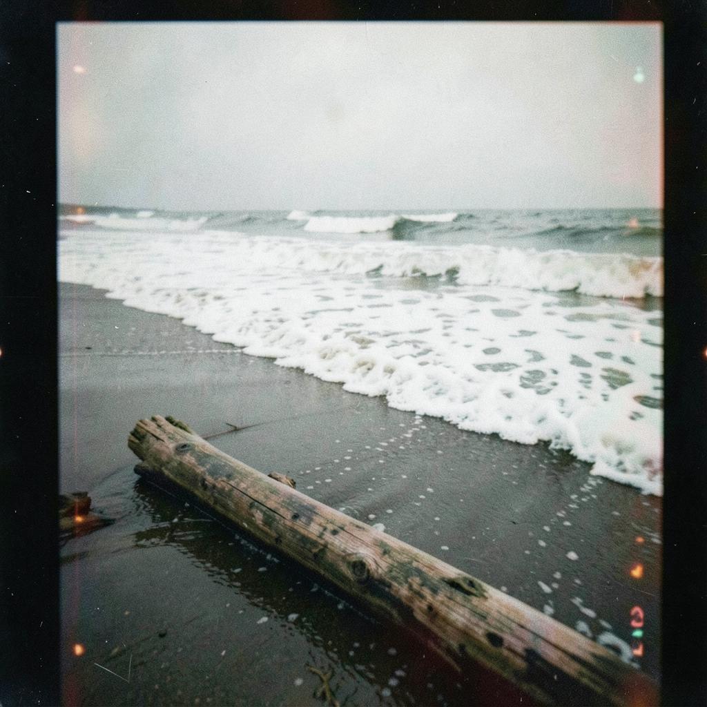 Sea of Internal Depth artwork