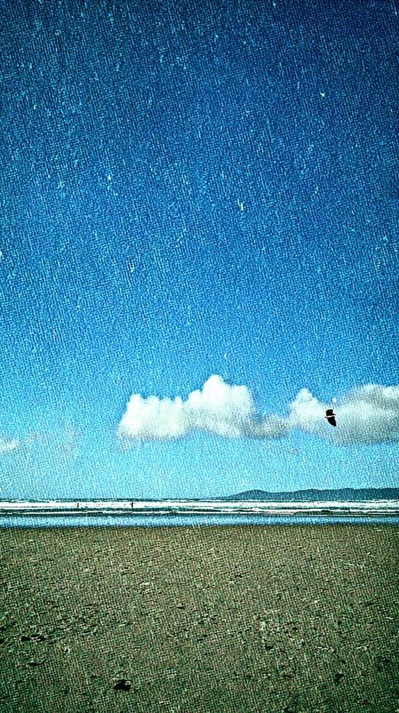 summer me artwork